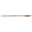 TenPoint Omni-Brite 2 Lighted 20" Pro Elite Carbon, Pack