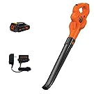 BLACK+DECKER 20V MAX Cordless Leaf Blower, LSW221