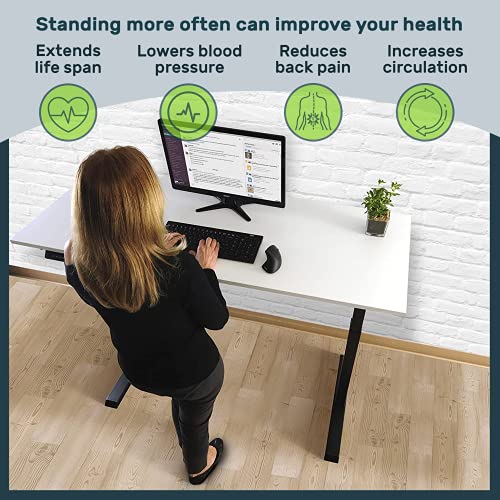 TechOrbits Electric Standing Desk Frame 60 x 24 Inch Tabletop - Motorized Workstation Two Leg Stand Up Desk with Memory Settings and Telescopic Sit Stand Height Adjustment (Black Frame/Black Top)