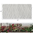 Expandable Garden Trellis Plant Support Willow Lattice, Inch